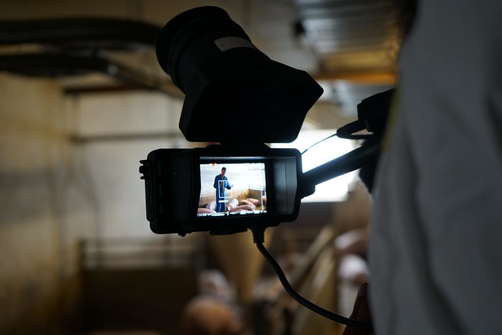 DOKSHOT LANDWIRTSCHAFT; Referenzen; Kamerateam, Kamerasucher, Schweine im Stall, Landwirt; black@white media imagefilm und videoproduktion aus München